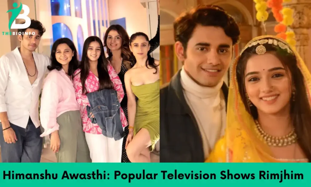 Himanshu Awasthi: Television Shows And Dramas